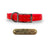 3/4" Solid Elite Collar with Stainless Steel D ring and Buckle