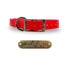 3/4" Solid Elite Collar with Stainless Steel D ring and Buckle