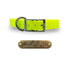 3/4" Solid Elite Collar with Stainless Steel D ring and Buckle
