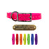 3/4 in poly coated nylon dog collars with custom brass name tag and stainless steel buckle and D ring