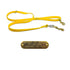 5 Ft Flat Beta Leash