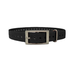 1" Basic Replacement Dog Collar Strap for Garmin, Dogtra, SportDOG