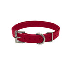 3/4" Double Buckle Basic Collar- Red