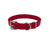 3/4" Double Buckle Basic Collar- Red
