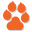www.outdoordogsupply.com