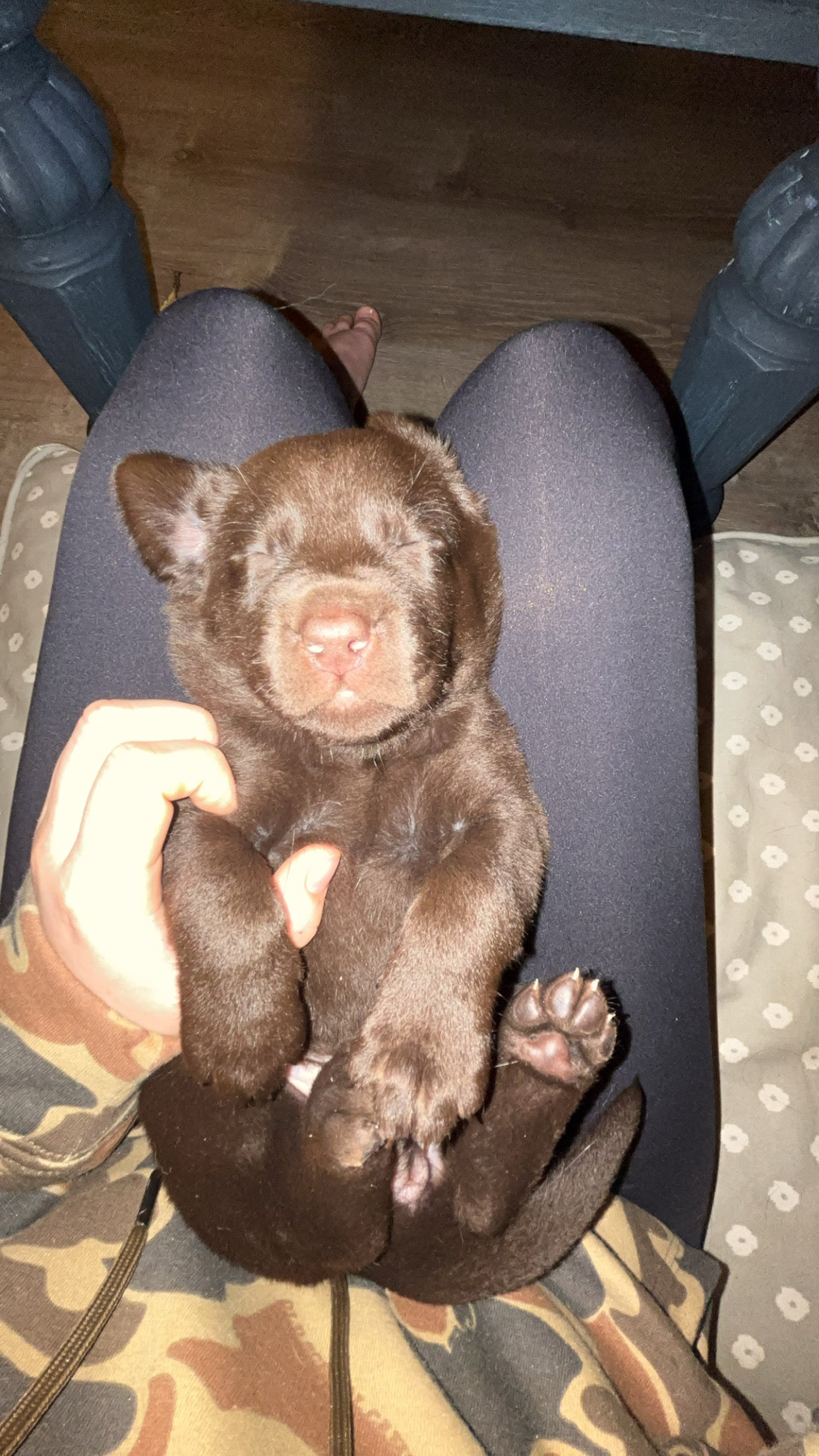 Emmy- Globo TT25 test product