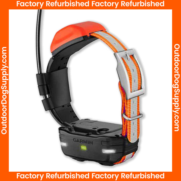 Garmin T5 Mini Collar - Factory Refurbished – Outdoor Dog Supply