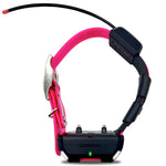 TT25 Tracking and Training Garmin Collar. 