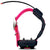 TT25 Tracking and Training Garmin Collar. 