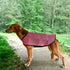 hound in a pink air weave paint cover blanket