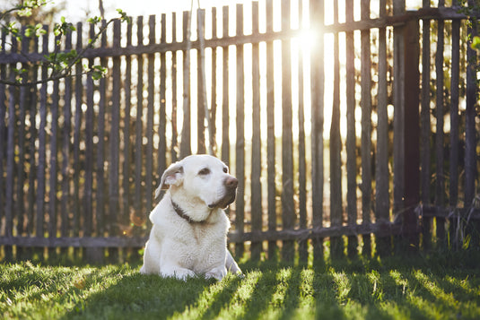 How to Repair wire fence breaks