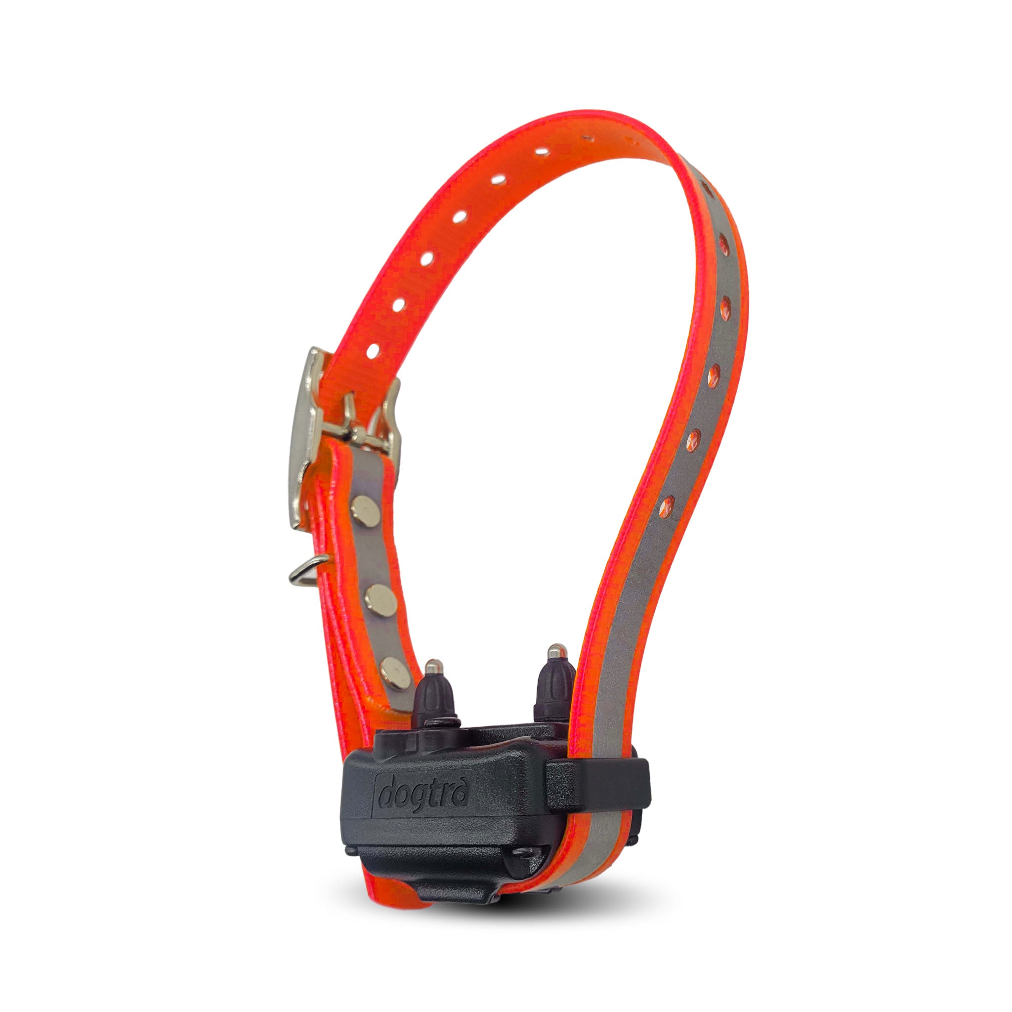 Dogtra iQ Plus receiver on orange reflective collar strap