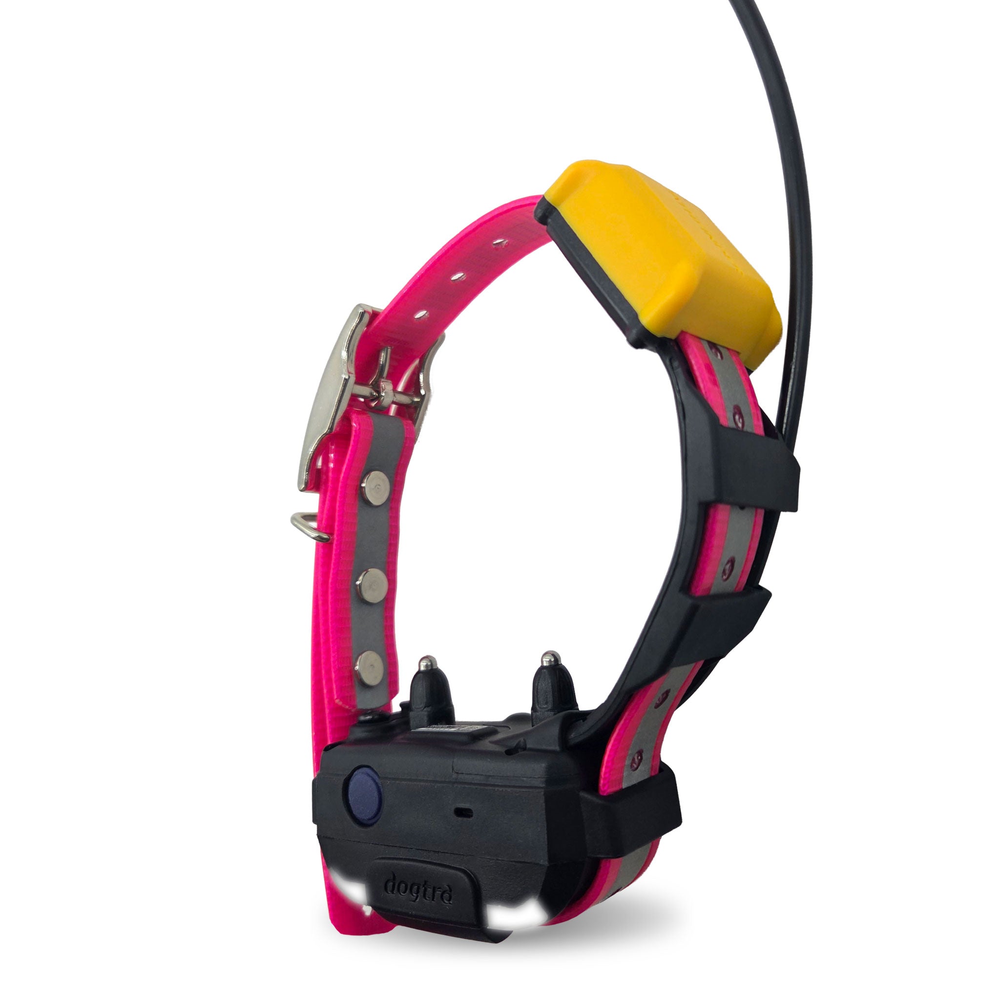 dogtra pathfinder2 mini collar on a pink reflective collar strap