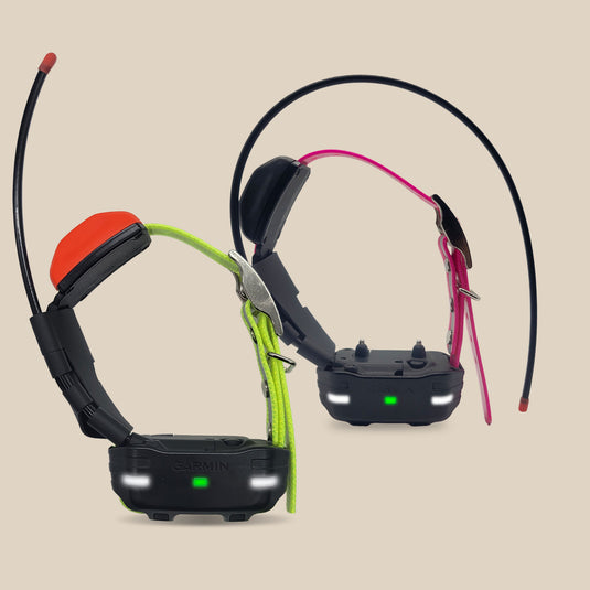 Garmin T5 mini tracking dog collar and Garmin TT15 mini tracking and training collar on custom collar straps