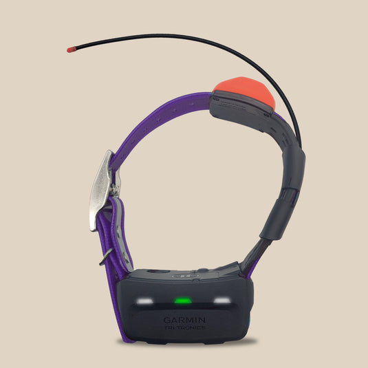 Garmin T5 tracking only dog collar on purple strap