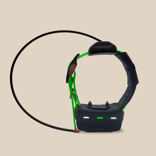 Garmin TT15 tracking and training collar with lime green collar strap