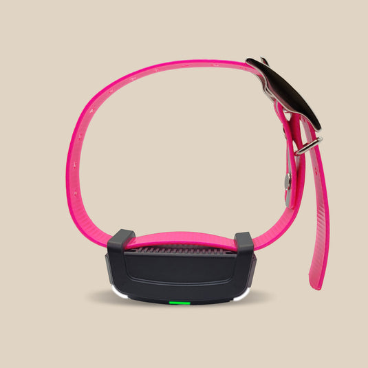 Garmin Alpha LTE tracking collar with reflective pink collar strap