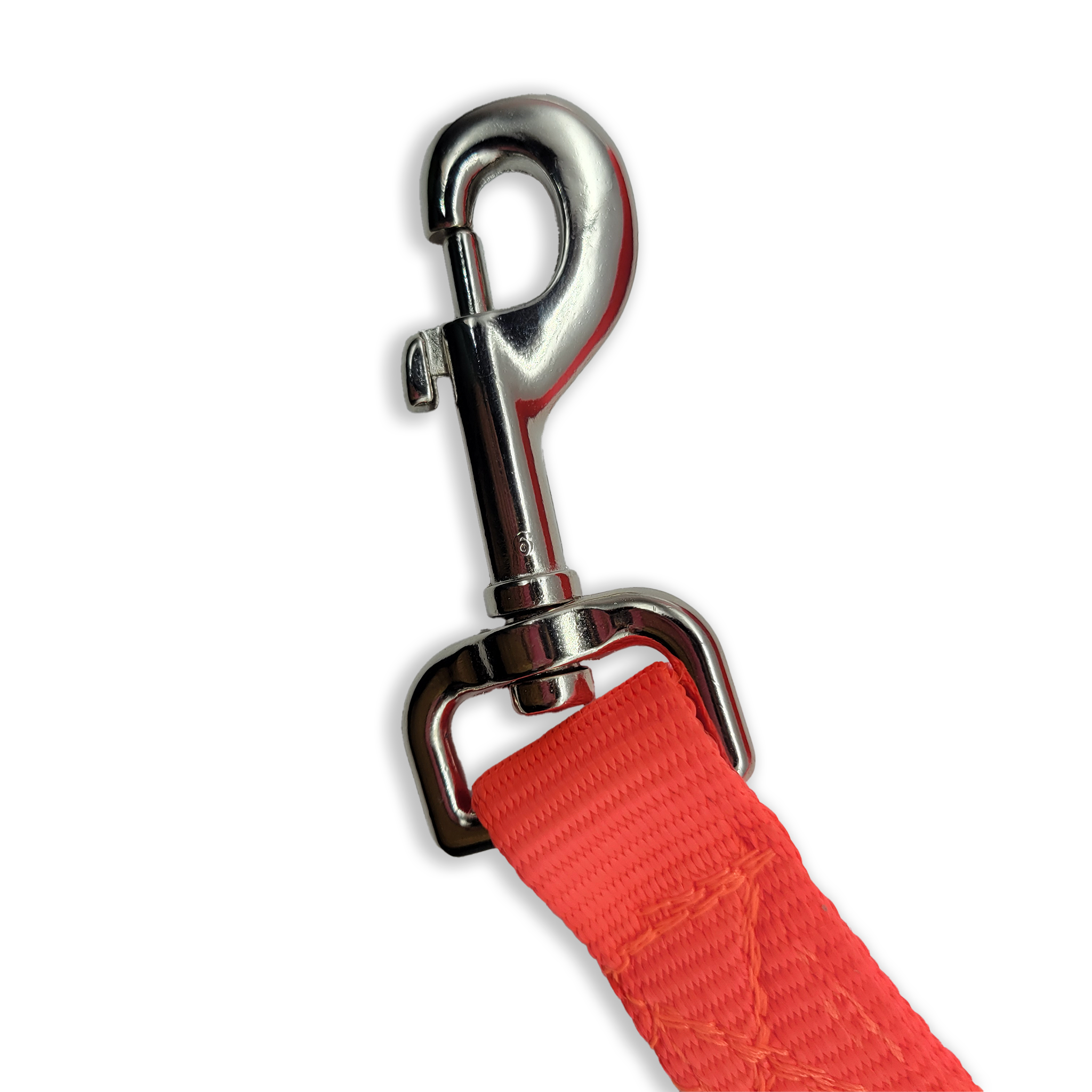 clip to a 30 foot lead