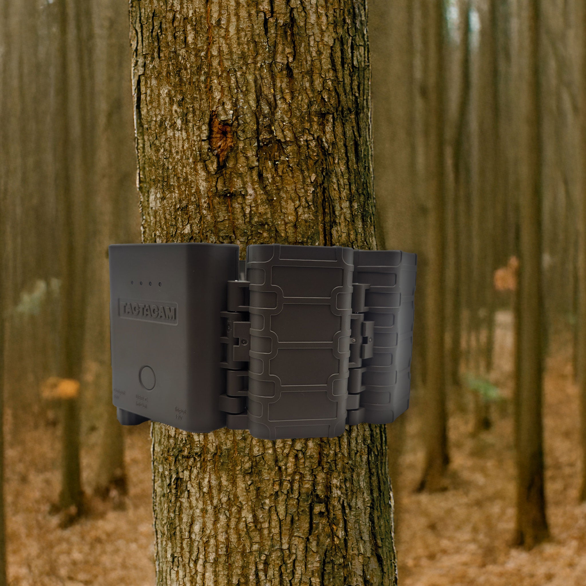 Tactacam REVEAL Battery Belt strapped to tree