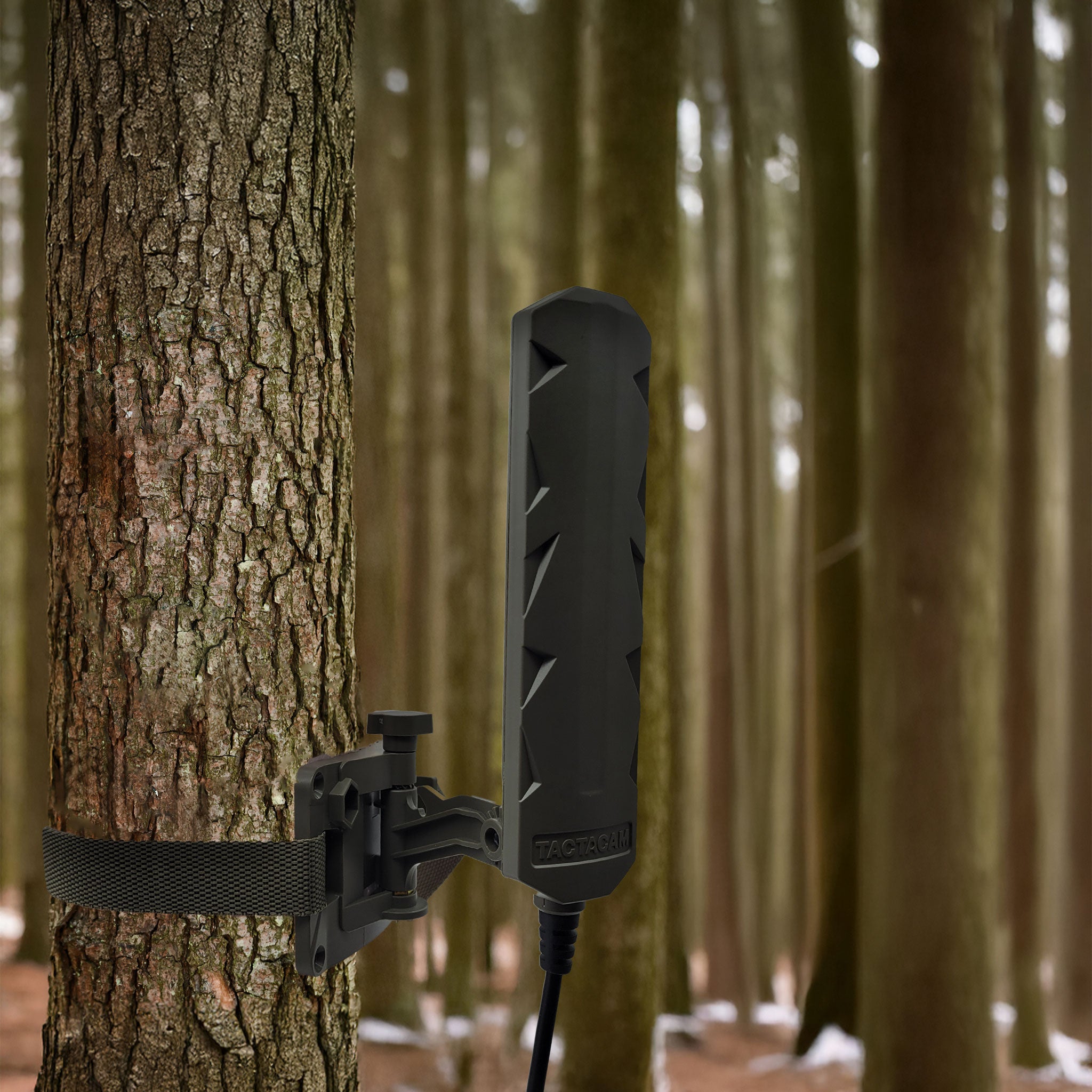 Tactacam REVEAL 3.0 Extended Range Antenna mounted to a tree
