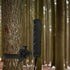 Tactacam REVEAL 3.0 Extended Range Antenna mounted to a tree