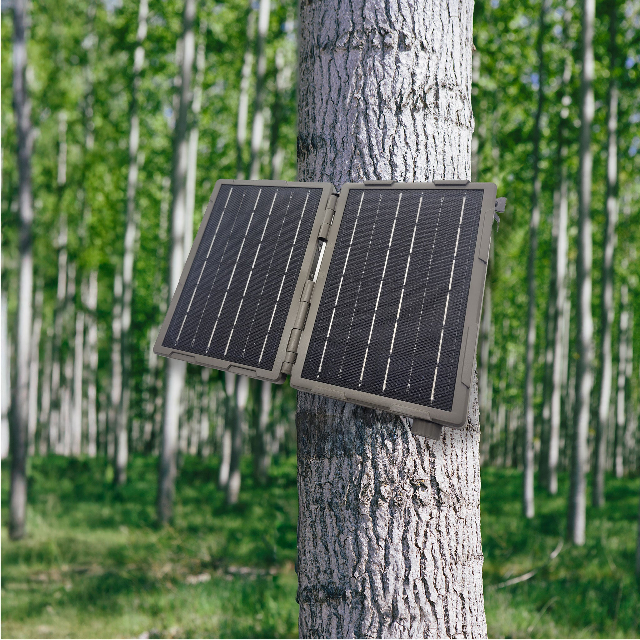 tactacam folding solar panels mounted to a tree