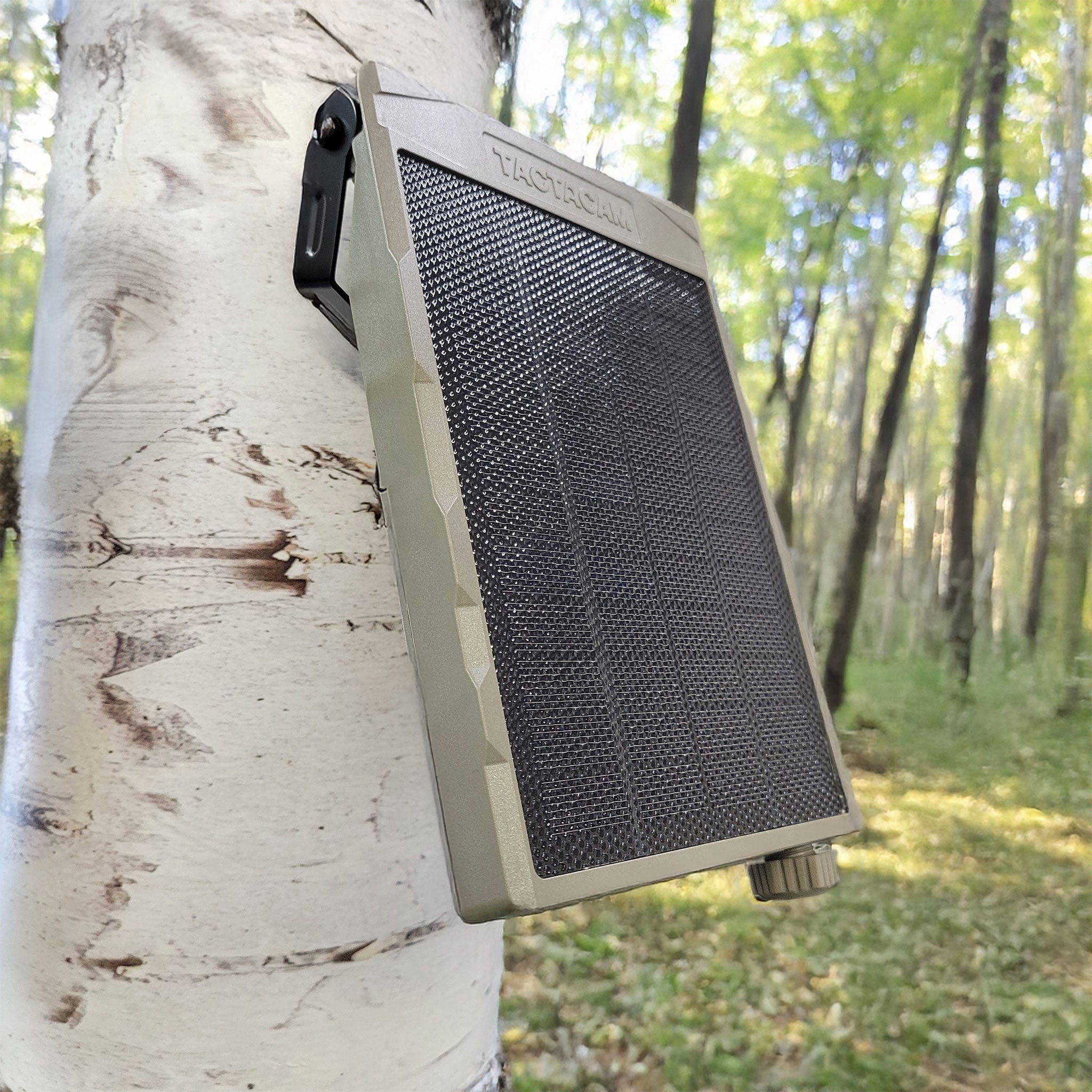 Tactacam REVEAL 12V External Solar Panel on a tree