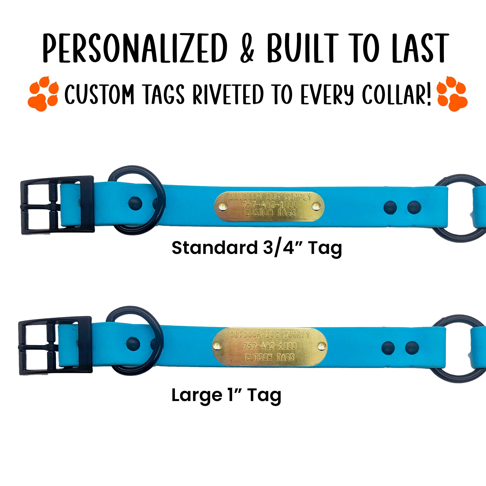 custom name tag riveted onto blue beta collar with center ring