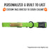 custom tag riveted onto lime green carnival collar by OmniPet