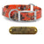 1" Pattern Premium Glow Tuff Center Ring Dog Collar with Brass Name Plate
