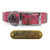 1" Pattern Premium Glow Tuff D Ring Dog Collar with Brass Name Plate