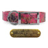 1" Pattern Premium Glow Tuff D Ring Dog Collar with Brass Name Plate