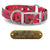 1" Pattern Premium Glow Tuff Center Ring Dog Collar with Brass Name Plate