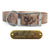 1" Pattern Premium Glow Tuff D Ring Dog Collar with Brass Name Plate