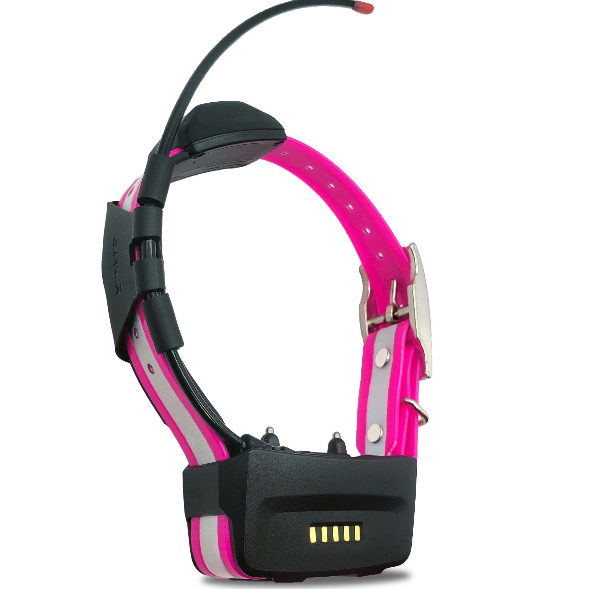 Garmin TT15 tracking and training collar - back view 