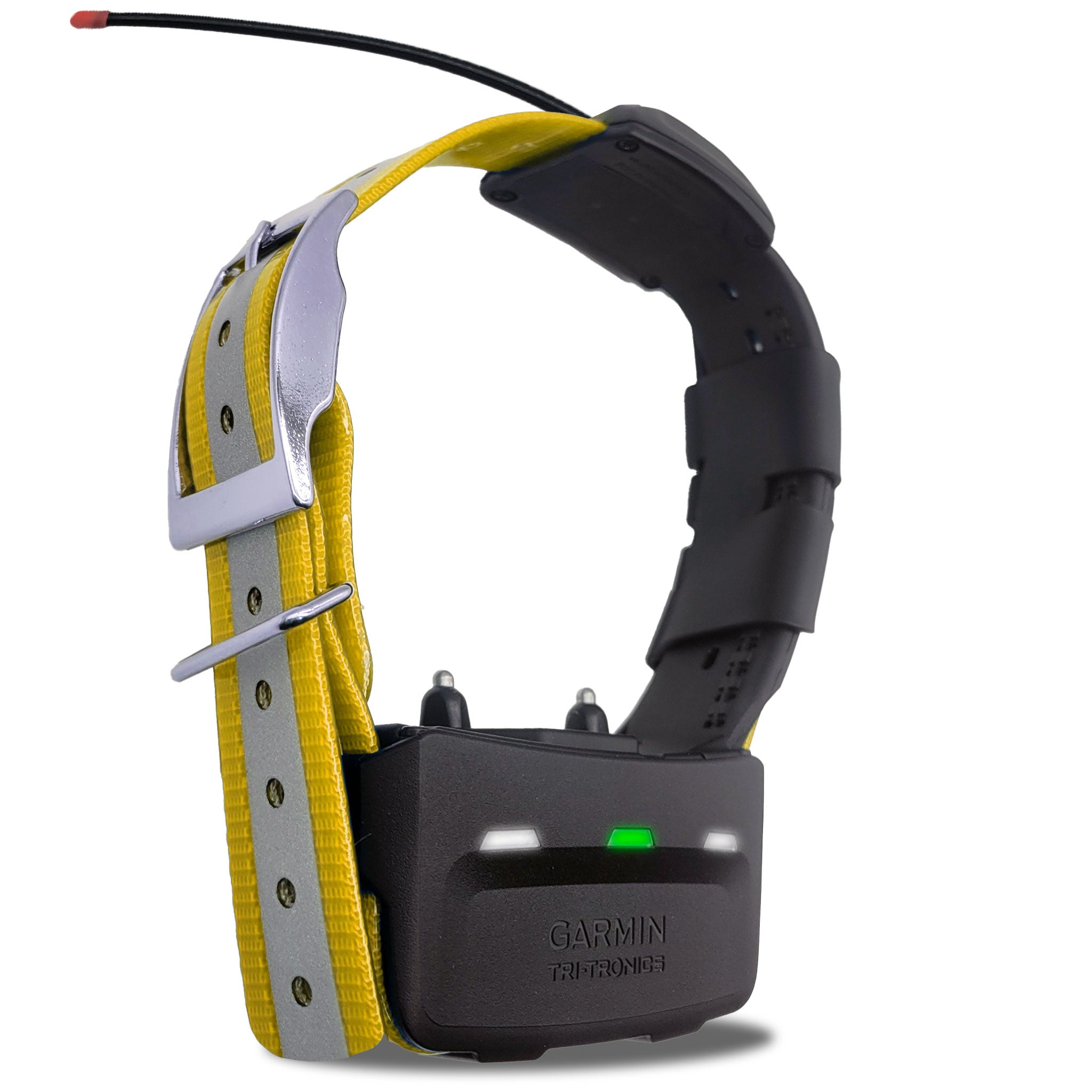 Garmin TT15 tracking and training collar - Right side view