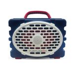 Americana Blue, Red white and blue turtlebox
